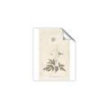Picture of Flower Sketch I _GroupedProduct_Rectangle_Portrait_Unframed_Print_Only_