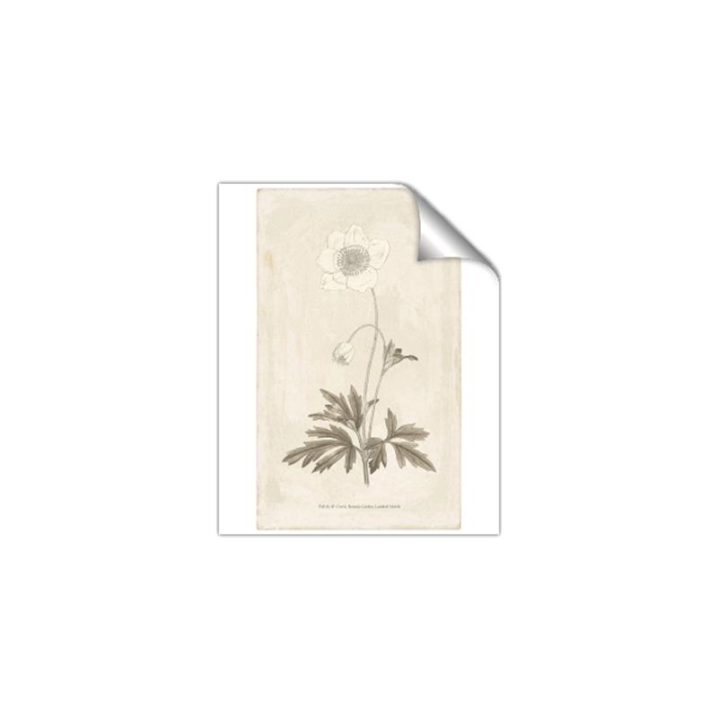 Picture of Flower Sketch I _GroupedProduct_Rectangle_Portrait_Unframed_Print_Only_