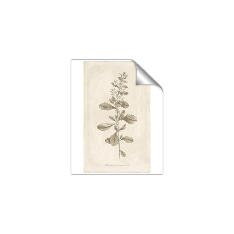 Picture of Flower Sketch IV _GroupedProduct_Rectangle_Portrait_Unframed_Print_Only_
