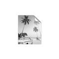 Picture of Palms & Cool Car _GroupedProduct_Rectangle_Portrait_Photography _GroupedProduct_Rectangle_Portrait_Unframed_Print_Only_