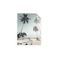 Picture of Palms & Cool Car _GroupedProduct_Rectangle_Portrait_Photography _GroupedProduct_Rectangle_Portrait_Unframed_Print_Only_