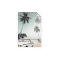 Picture of Palms & Cool Car _GroupedProduct_Rectangle_Portrait_Photography _GroupedProduct_Rectangle_Portrait_Unframed_Print_Only_