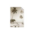 Picture of Palms & Cool Car _GroupedProduct_Rectangle_Portrait_Photography _GroupedProduct_Rectangle_Portrait_Unframed_Print_Only_