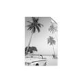 Picture of Palms & Cool Car _GroupedProduct_Rectangle_Portrait_Photography _GroupedProduct_Rectangle_Portrait_Unframed_Print_Only_