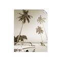 Picture of Palms & Cool Car _GroupedProduct_Rectangle_Portrait_Photography _GroupedProduct_Rectangle_Portrait_Unframed_Print_Only_