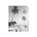 Picture of Palms & Cool Car _GroupedProduct_Rectangle_Portrait_Photography _GroupedProduct_Rectangle_Portrait_Unframed_Print_Only_