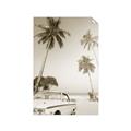 Picture of Palms & Cool Car _GroupedProduct_Rectangle_Portrait_Photography _GroupedProduct_Rectangle_Portrait_Unframed_Print_Only_