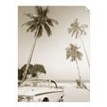Picture of Palms & Cool Car _GroupedProduct_Rectangle_Portrait_Photography _GroupedProduct_Rectangle_Portrait_Unframed_Print_Only_