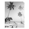 Picture of Palms & Cool Car _GroupedProduct_Rectangle_Portrait_Photography _GroupedProduct_Rectangle_Portrait_Unframed_Print_Only_