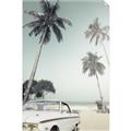Picture of Palms & Cool Car _GroupedProduct_Rectangle_Portrait_Photography _GroupedProduct_Rectangle_Portrait_Unframed_Print_Only_