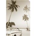 Picture of Palms & Cool Car _GroupedProduct_Rectangle_Portrait_Photography _GroupedProduct_Rectangle_Portrait_Unframed_Print_Only_