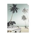 Picture of Palms & Cool Car _GroupedProduct_Rectangle_Portrait_Photography _GroupedProduct_Rectangle_Portrait_Unframed_Print_Only_