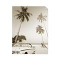 Picture of Palms & Cool Car _GroupedProduct_Rectangle_Portrait_Photography _GroupedProduct_Rectangle_Portrait_Unframed_Print_Only_