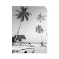 Picture of Palms & Cool Car _GroupedProduct_Rectangle_Portrait_Photography _GroupedProduct_Rectangle_Portrait_Unframed_Print_Only_
