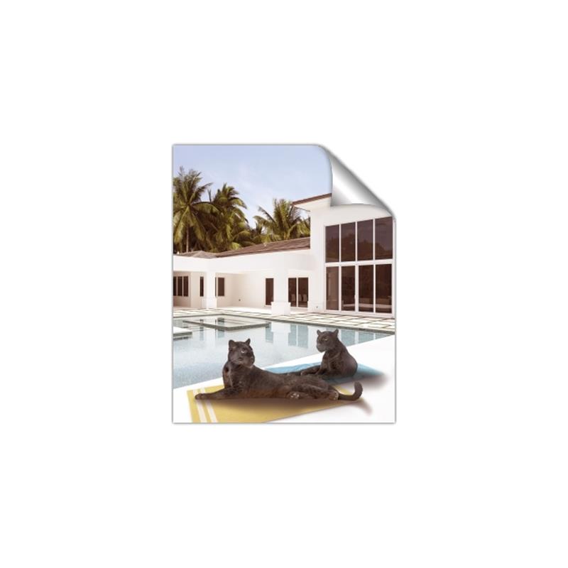 Picture of Panther Lounge _GroupedProduct_Rectangle_Portrait_Unframed_Print_Only_