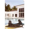 Picture of Panther Lounge _GroupedProduct_Rectangle_Portrait_Unframed_Print_Only_