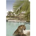 Picture of Gepard in water _GroupedProduct_Rectangle_Portrait_Unframed_Print_Only_