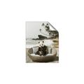 Picture of Panda Sitting on Sofa _GroupedProduct_Rectangle_Portrait_Unframed_Print_Only_