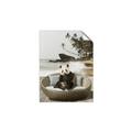 Picture of Panda Sitting on Sofa _GroupedProduct_Rectangle_Portrait_Unframed_Print_Only_
