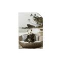 Picture of Panda Sitting on Sofa _GroupedProduct_Rectangle_Portrait_Unframed_Print_Only_