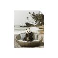 Picture of Panda Sitting on Sofa _GroupedProduct_Rectangle_Portrait_Unframed_Print_Only_