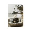 Picture of Panda Sitting on Sofa _GroupedProduct_Rectangle_Portrait_Unframed_Print_Only_