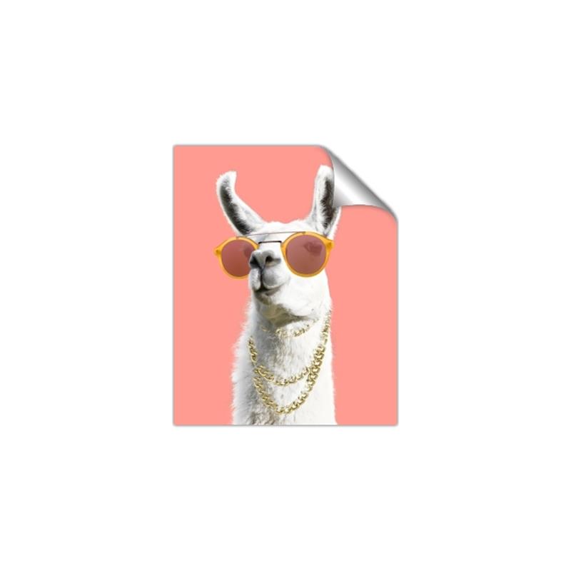 Picture of Llamarama  with glass _GroupedProduct_Rectangle_Portrait_Unframed_Print_Only_