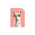 Picture of Llamarama  with glass _GroupedProduct_Rectangle_Portrait_Unframed_Print_Only_