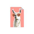 Picture of Llamarama  with glass _GroupedProduct_Rectangle_Portrait_Unframed_Print_Only_