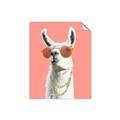 Picture of Llamarama  with glass _GroupedProduct_Rectangle_Portrait_Unframed_Print_Only_