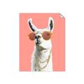 Picture of Llamarama  with glass _GroupedProduct_Rectangle_Portrait_Unframed_Print_Only_