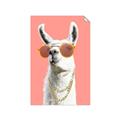Picture of Llamarama  with glass _GroupedProduct_Rectangle_Portrait_Unframed_Print_Only_