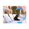 Picture of Black Panther Lounge _GroupedProduct_Rectangle_Landscape_Unframed_Print_Only_