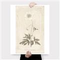 Picture of Flower Sketch I _GroupedProduct_Rectangle_Portrait_Canvas_
