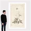 Picture of Flower Sketch I _GroupedProduct_Rectangle_Portrait_Canvas_