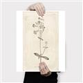 Picture of Flower Sketch II _GroupedProduct_Rectangle_Portrait_Canvas_