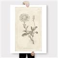Picture of Flower Sketch III _GroupedProduct_Rectangle_Portrait_Canvas_