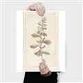 Picture of Flower Sketch IV _GroupedProduct_Rectangle_Portrait_Canvas_