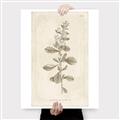 Picture of Flower Sketch IV _GroupedProduct_Rectangle_Portrait_Canvas_