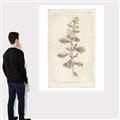 Picture of Flower Sketch IV _GroupedProduct_Rectangle_Portrait_Canvas_