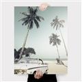 Picture of Palms & Cool Car _GroupedProduct_Rectangle_Portrait_Photography _GroupedProduct_Rectangle_Portrait_Canvas_