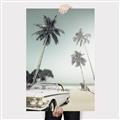 Picture of Palms & Cool Car _GroupedProduct_Rectangle_Portrait_Photography _GroupedProduct_Rectangle_Portrait_Canvas_