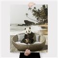 Picture of Panda Sitting on Sofa _GroupedProduct_Rectangle_Portrait_Canvas_