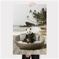 Picture of Panda Sitting on Sofa _GroupedProduct_Rectangle_Portrait_Canvas_