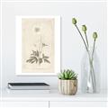 Picture of Flower Sketch I _GroupedProduct_Rectangle_Portrait_Canvas_
