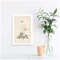 Picture of Flower Sketch I _GroupedProduct_Rectangle_Portrait_Canvas_