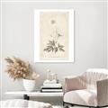Picture of Flower Sketch I _GroupedProduct_Rectangle_Portrait_Canvas_