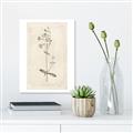 Picture of Flower Sketch II _GroupedProduct_Rectangle_Portrait_Canvas_