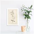Picture of Flower Sketch II _GroupedProduct_Rectangle_Portrait_Canvas_