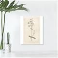 Picture of Flower Sketch II _GroupedProduct_Rectangle_Portrait_Canvas_